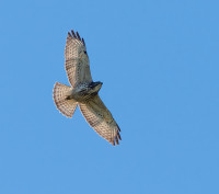 Cascade de Fourgassier